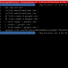 TUTORIAL: Como fazer DNS Lookup a partir da linha de comando dog, the command-line DNS client